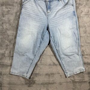 Lane Bryant Light Blue Ankle Jeans Size 16